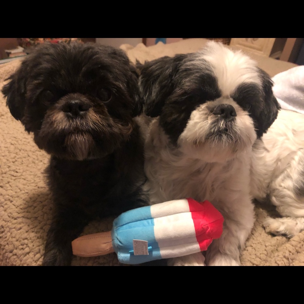 Meet your Posher, Eileen